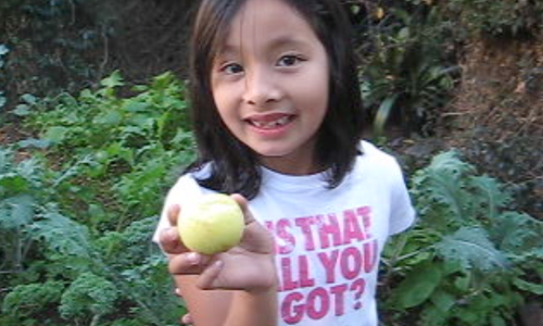 Food_justice