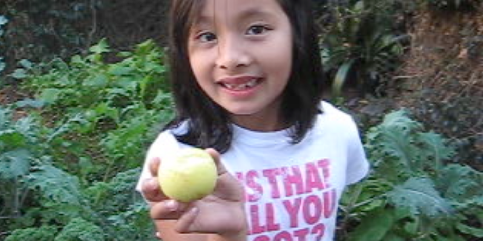 Food_justice