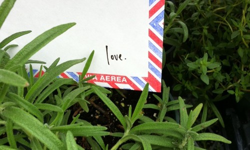 Http-__loveletteringproject.com_photo41-e1337045788527-764x1024