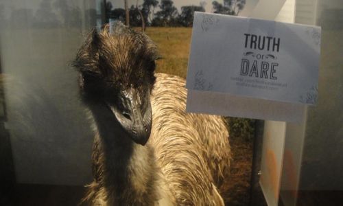Truth_or_dare
