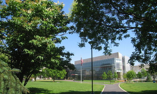 Trees