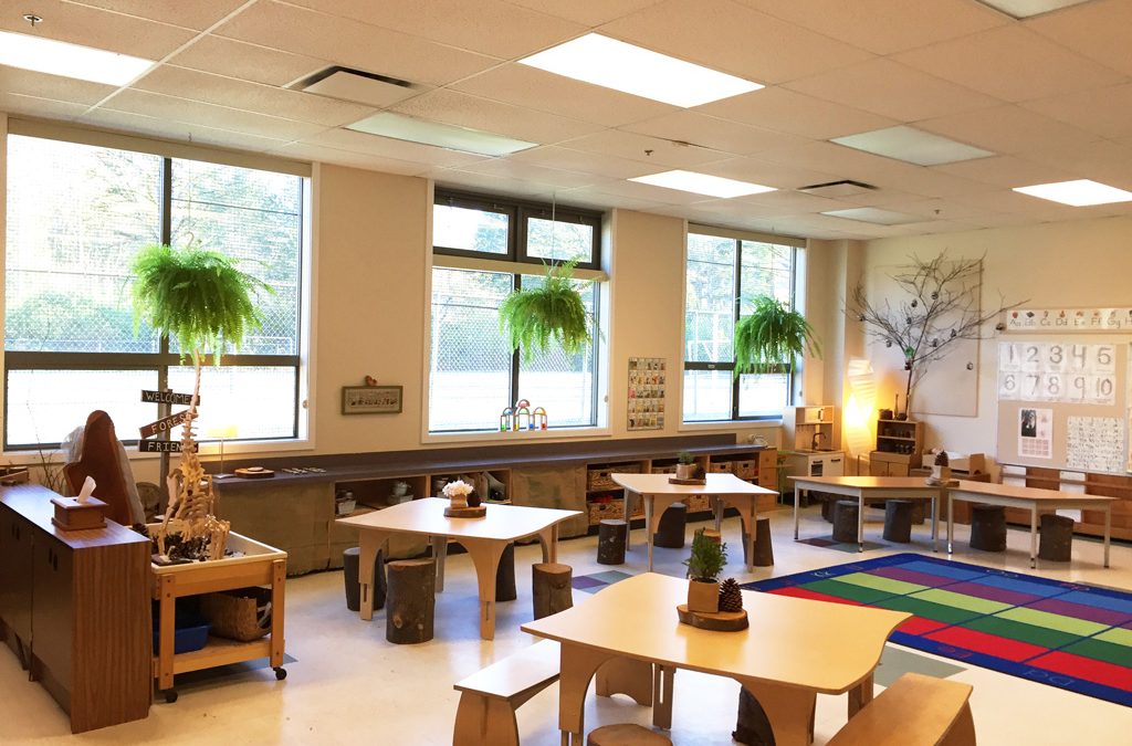 A Plant in Every Classroom The Awesome Foundation