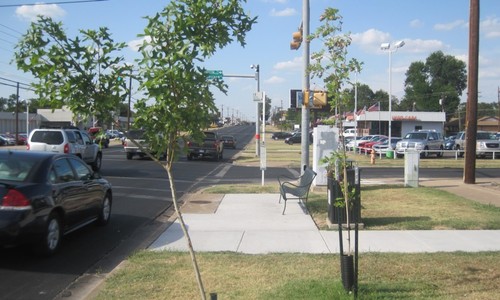 Mazda_trees_25