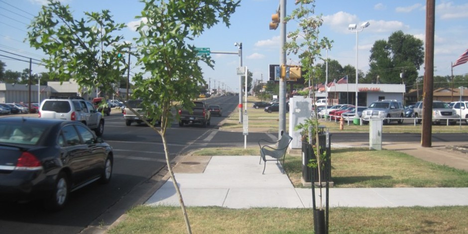 Mazda_trees_25