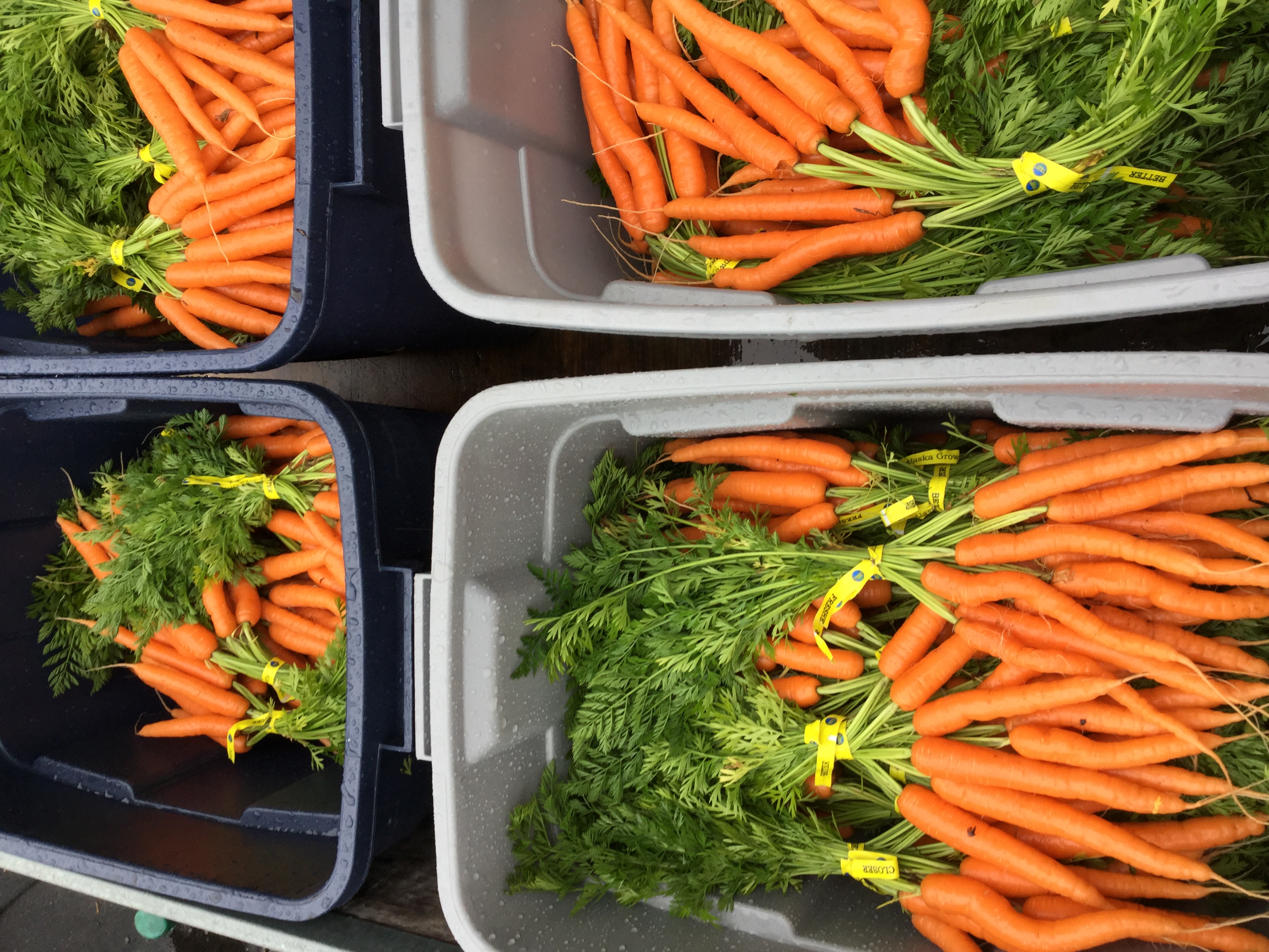 Haines and Klukwan local produce SNAP access The Awesome Foundation