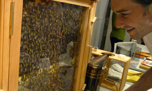 Beehive
