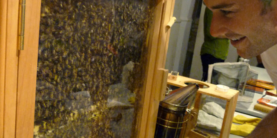 Beehive