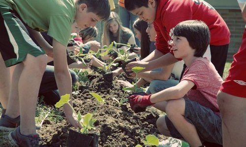 Schoolyardfarms_pdx-fellow3
