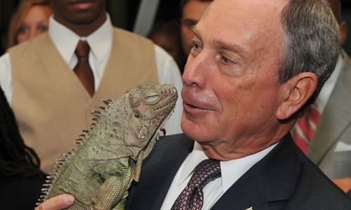 Bloomberg_small